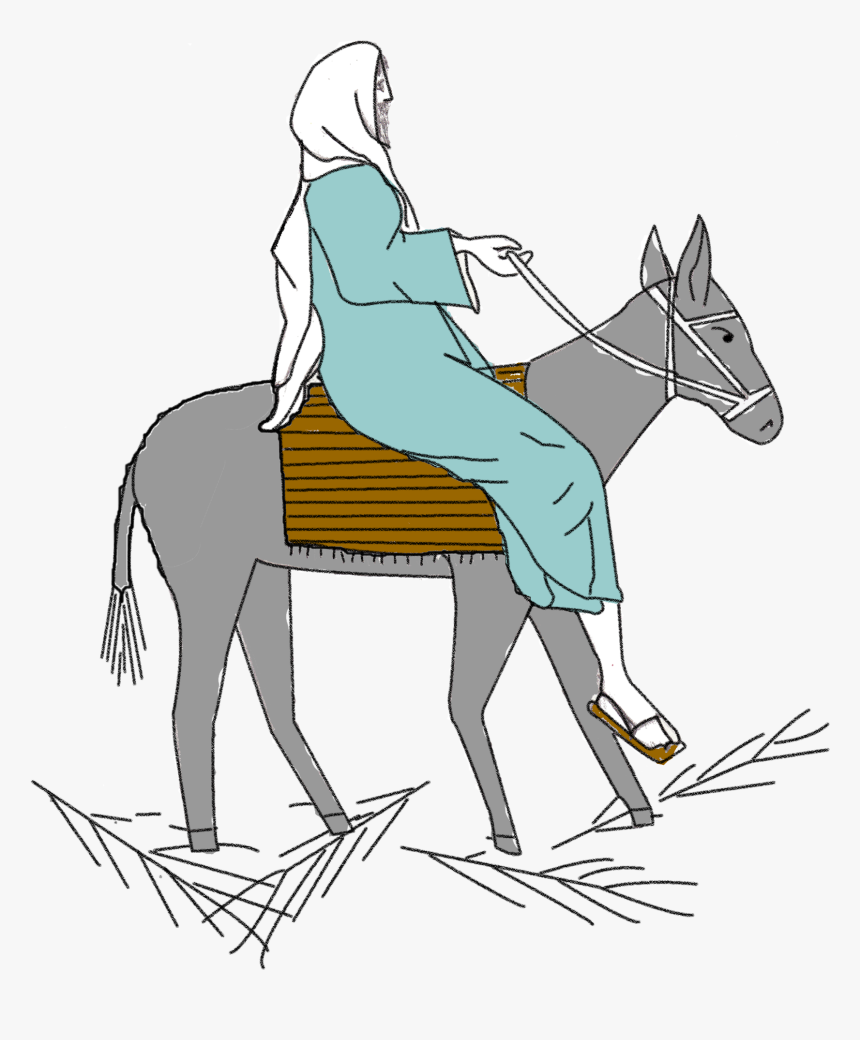 Jesus Palm Sunday - Mane, HD Png Download