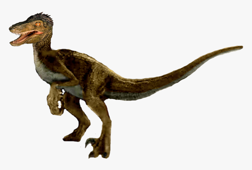 Spider-man Tv Shows Wiki - Old Lace Runaways Tv Show, HD Png Download