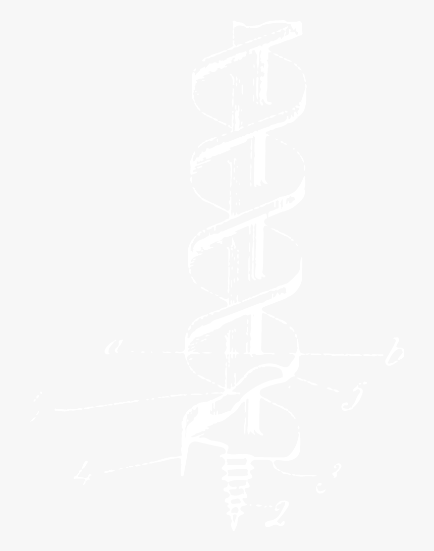Auger Pencil - Johns Hopkins Logo White, HD Png Download