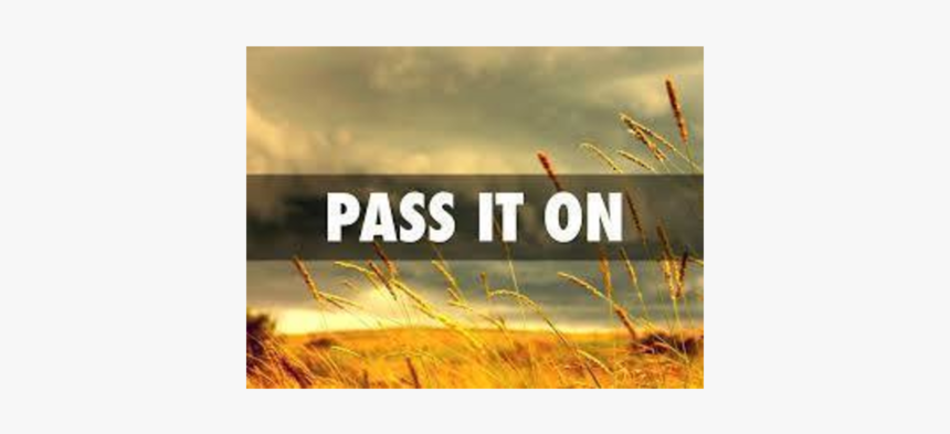 Grass, HD Png Download