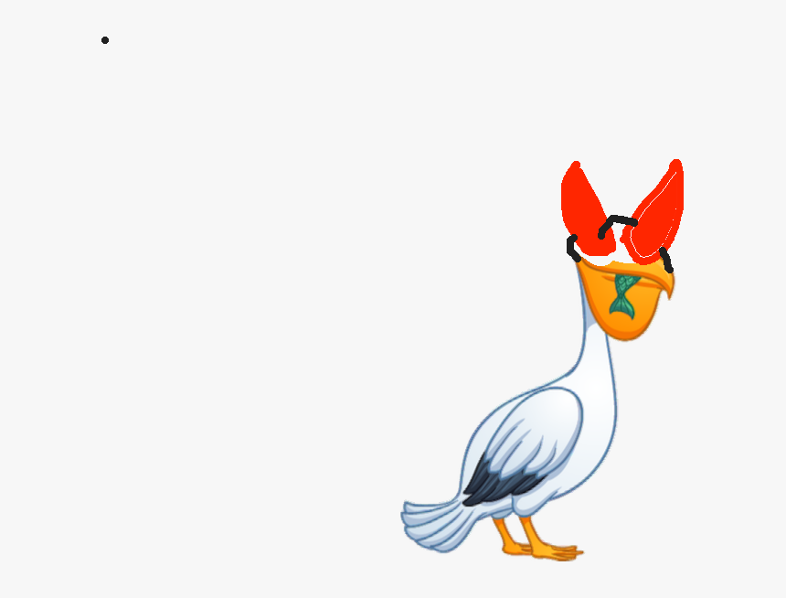 Duck, HD Png Download