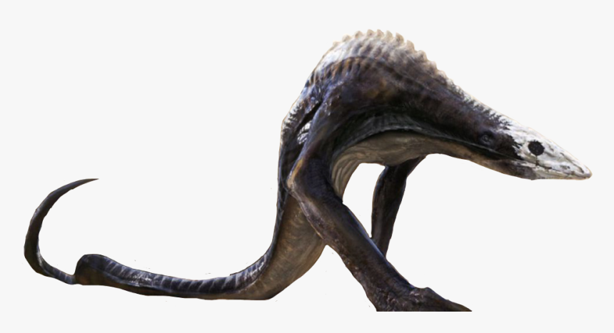 Skullcrawler. Skull crawler. Skull crawler. Монстры из конг остров черепа. Skull crawler.