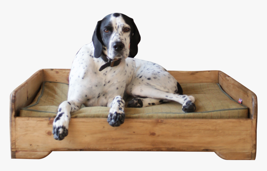 Handmade - Wooden - Dog Bed - Hunt And Wilson - Dog - Dog Yawns, HD Png Download