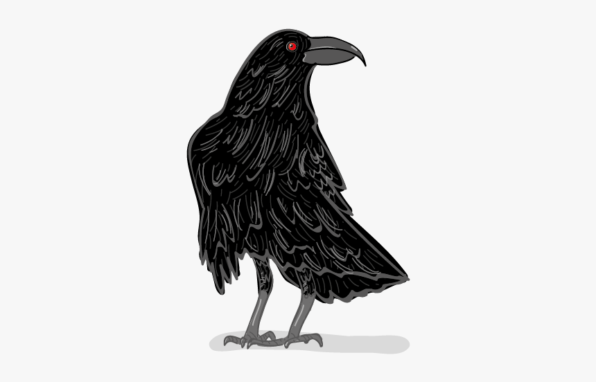American Crow, HD Png Download