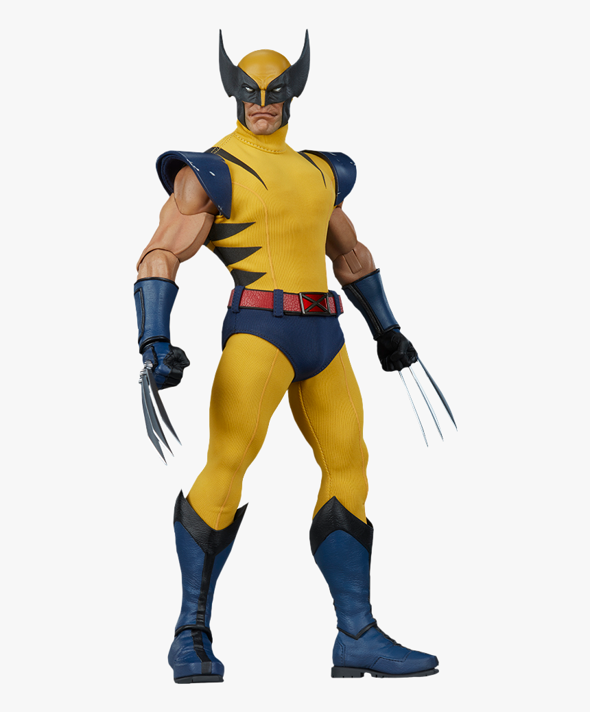 Wolverine 1/6th Scale Action Figure - Wolverine Sixth Scale Figure, HD Png Download