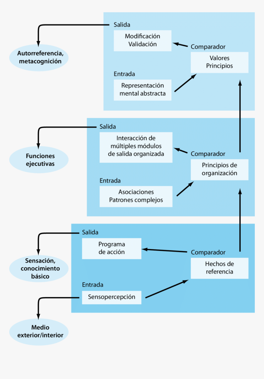 Diagram, HD Png Download