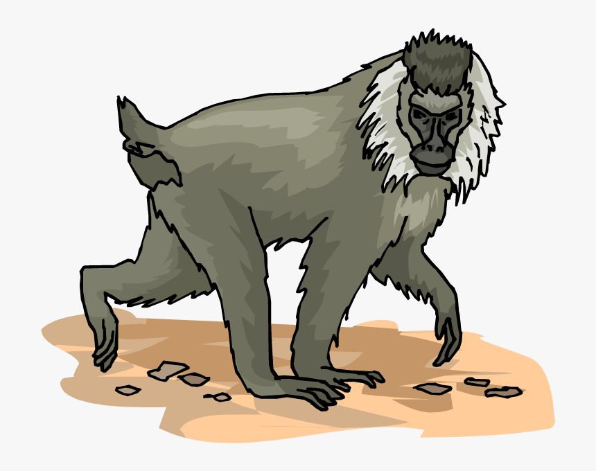 Monkey Clipart Baboon - Baboons, HD Png Download