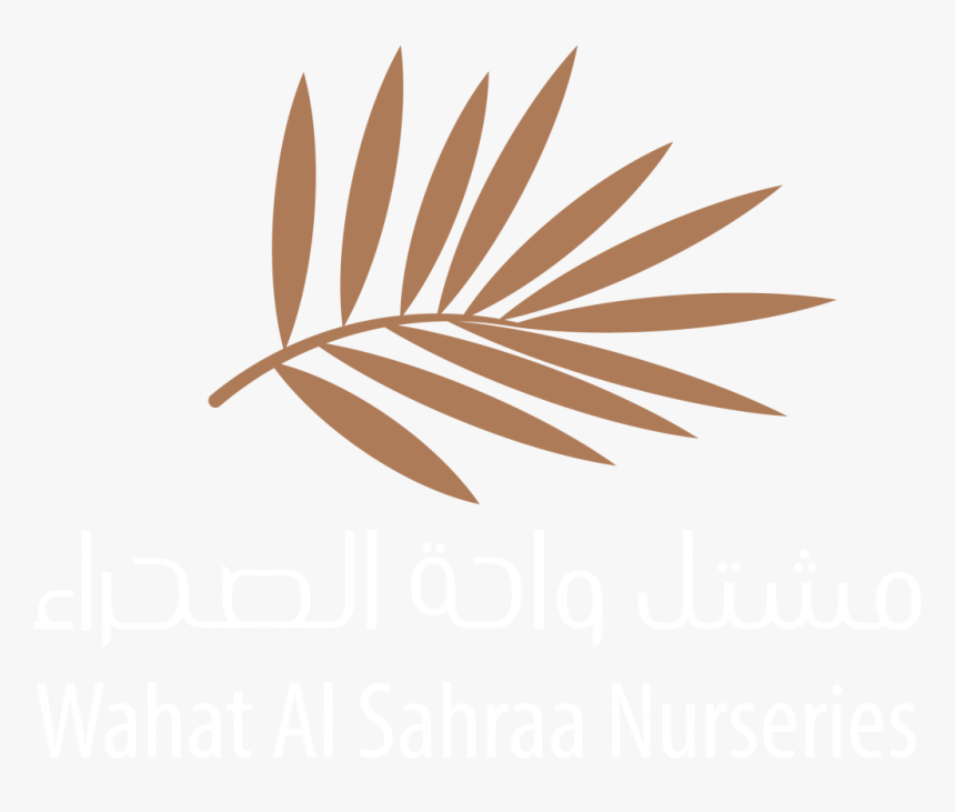 Wahat Al Sahraa Official Logo - Desert Group Qatar, HD Png Download