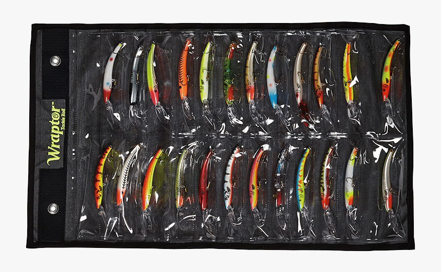 Anago, HD Png Download