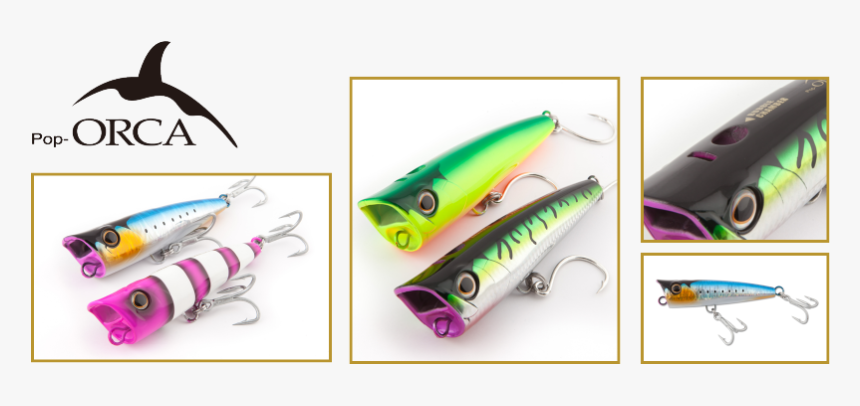 Fish, HD Png Download