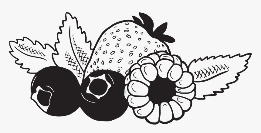 Fruit And Cheese Black And White, HD Png Download