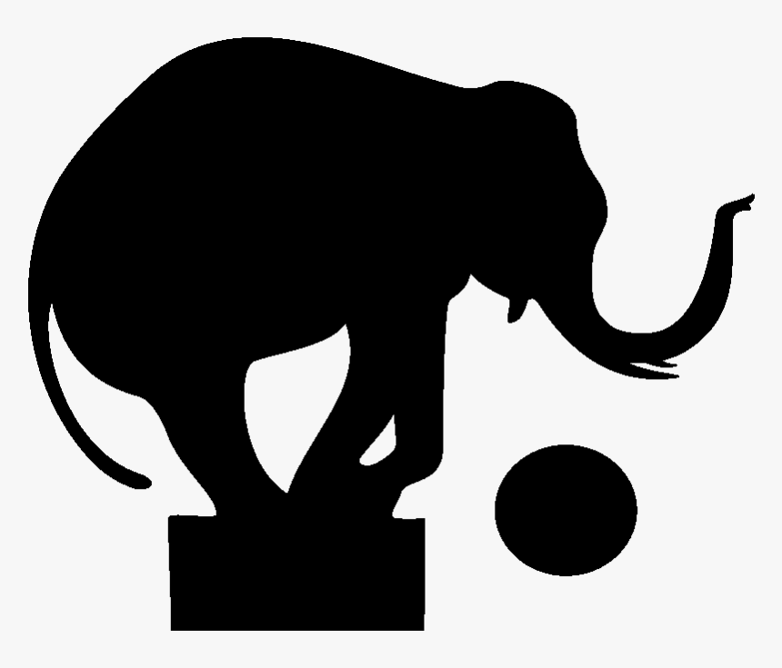 Indian Elephant African Elephant Wildlife Silhouette - Silhouettes Of Circus Animals, HD Png Download