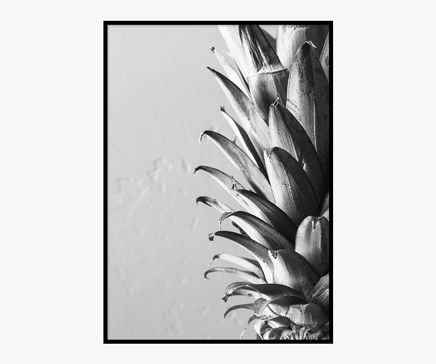 Pineapple Poster - Pineapple, HD Png Download