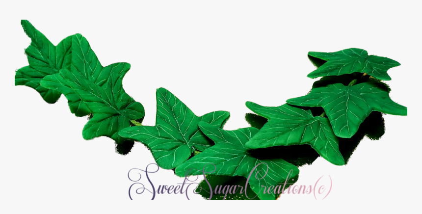 Maple Leaf, HD Png Download
