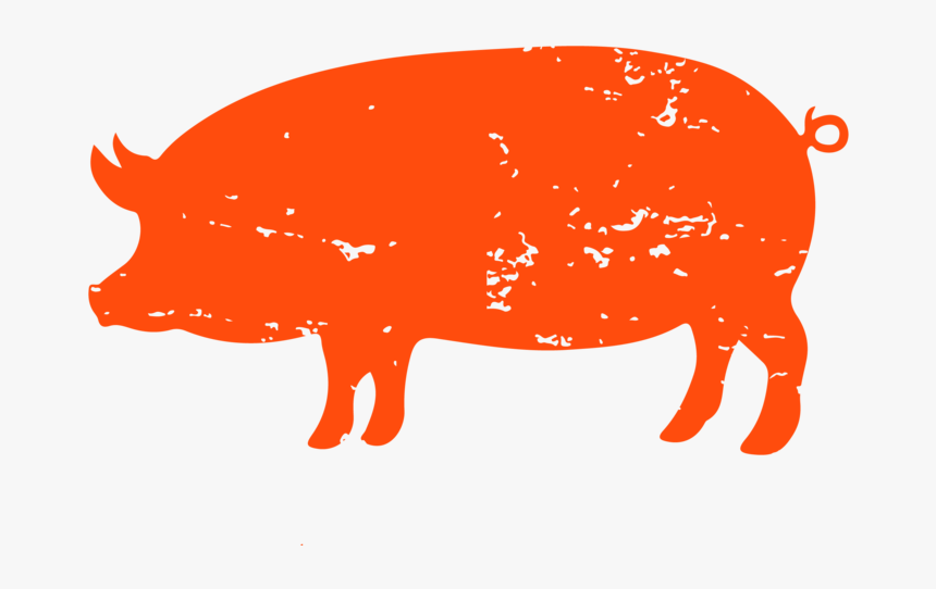Cbicons-05 - Domestic Pig, HD Png Download