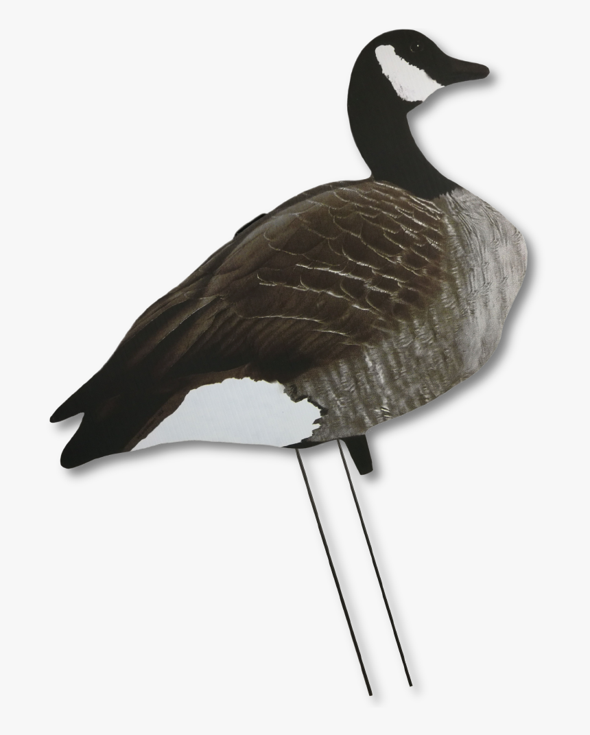 Goose Decoy Silhouettes On Sale, HD Png Download