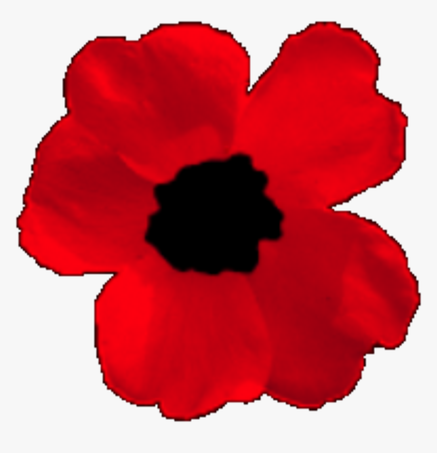 Corn Poppy Clipart , Png Download - Corn Poppy, Transparent Png