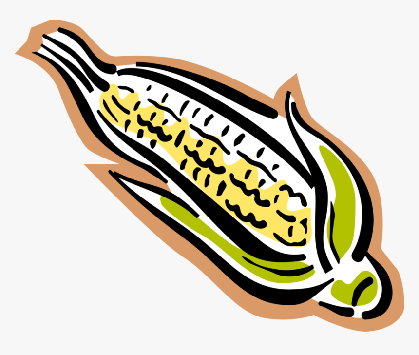 Vector Illustration Of Corn On The Cob Grain Plant - Maize, HD Png Download