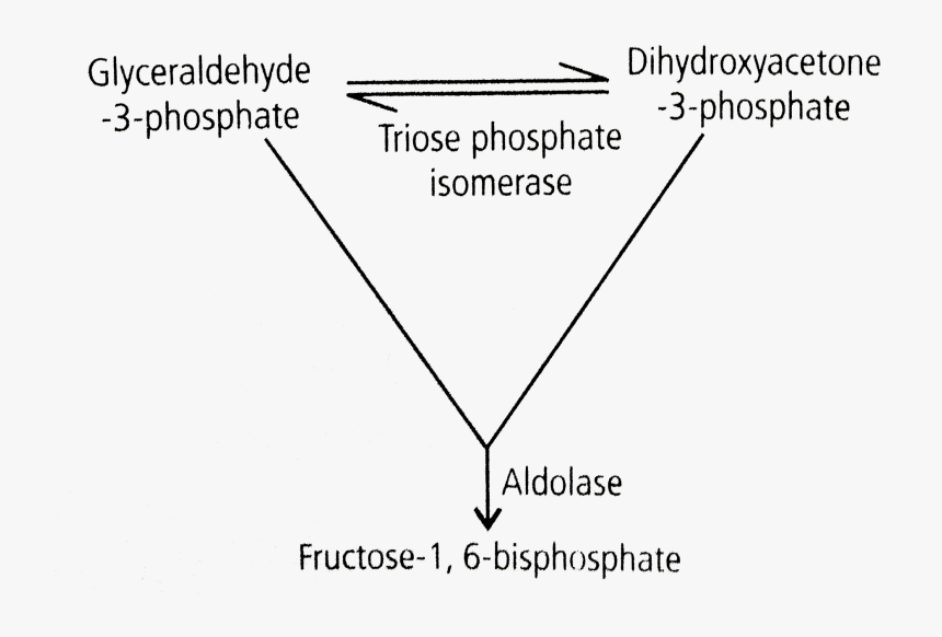 Diagram, HD Png Download