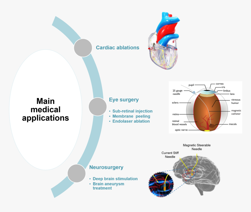 Graphic Design, HD Png Download