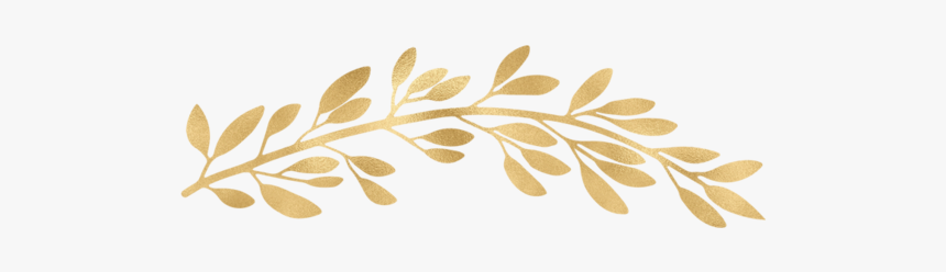 Divider - Illustration, HD Png Download