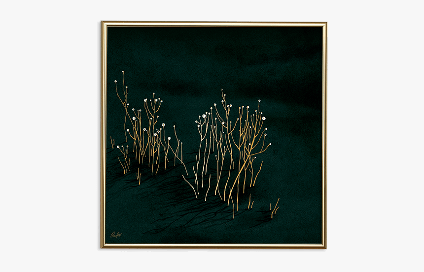 Picture Frame, HD Png Download