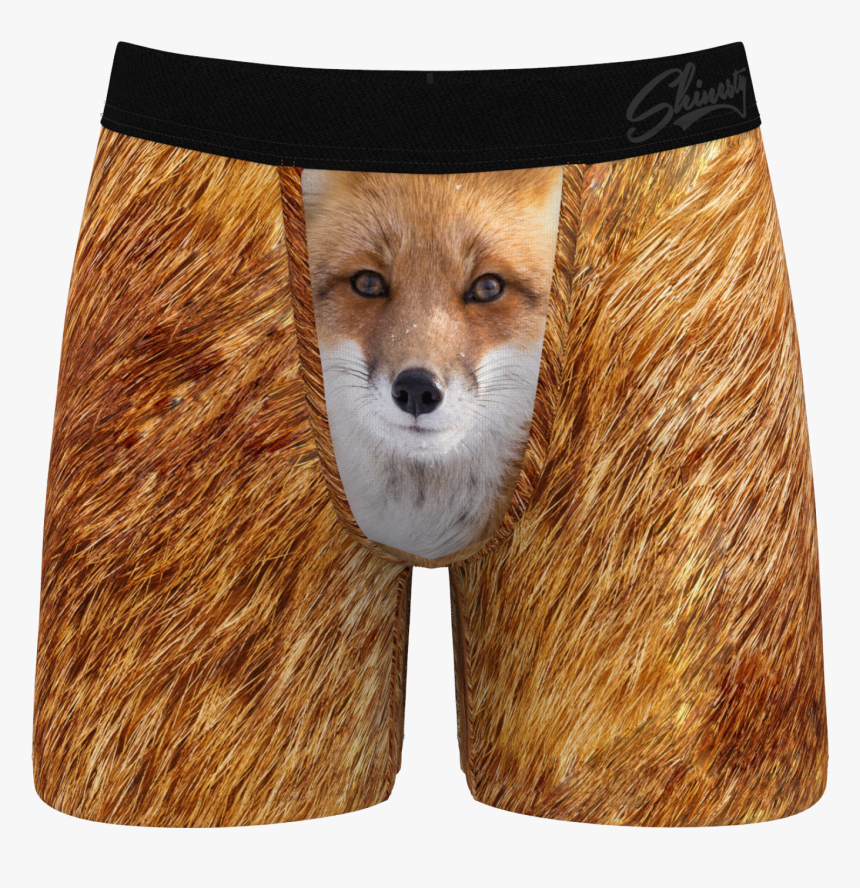 Mens Fox Printed Briefs, HD Png Download
