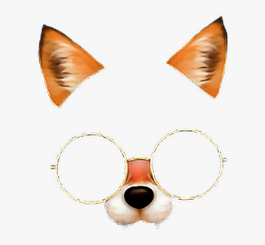 Fox Face 😍🤤 Fox Glasses Stile 💕💫 Freetoedit - Drawing, HD Png Download
