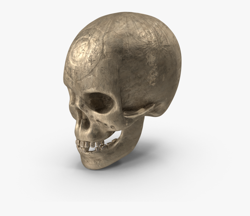 Ancient - Skull - H03 - 2k, HD Png Download