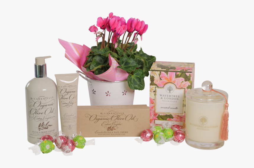 Cyclamen, HD Png Download