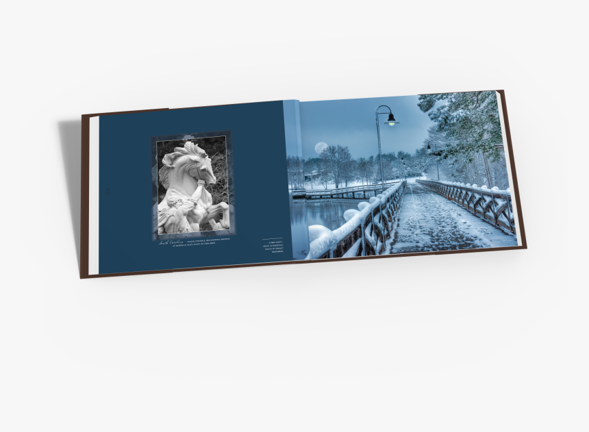 Photograph, HD Png Download