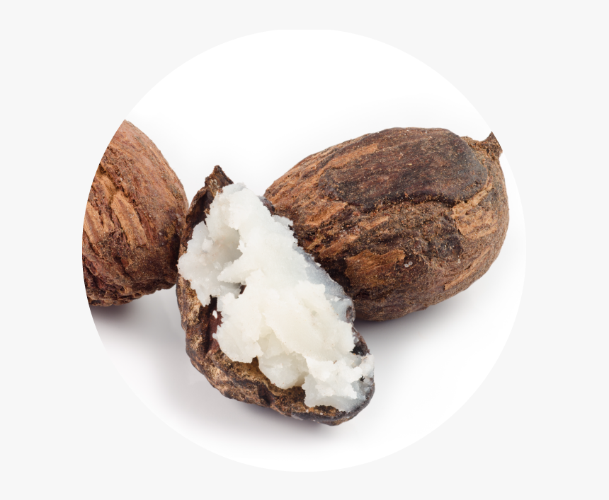 Coconut Oil - Butyrospermum Parkii Butter, HD Png Download