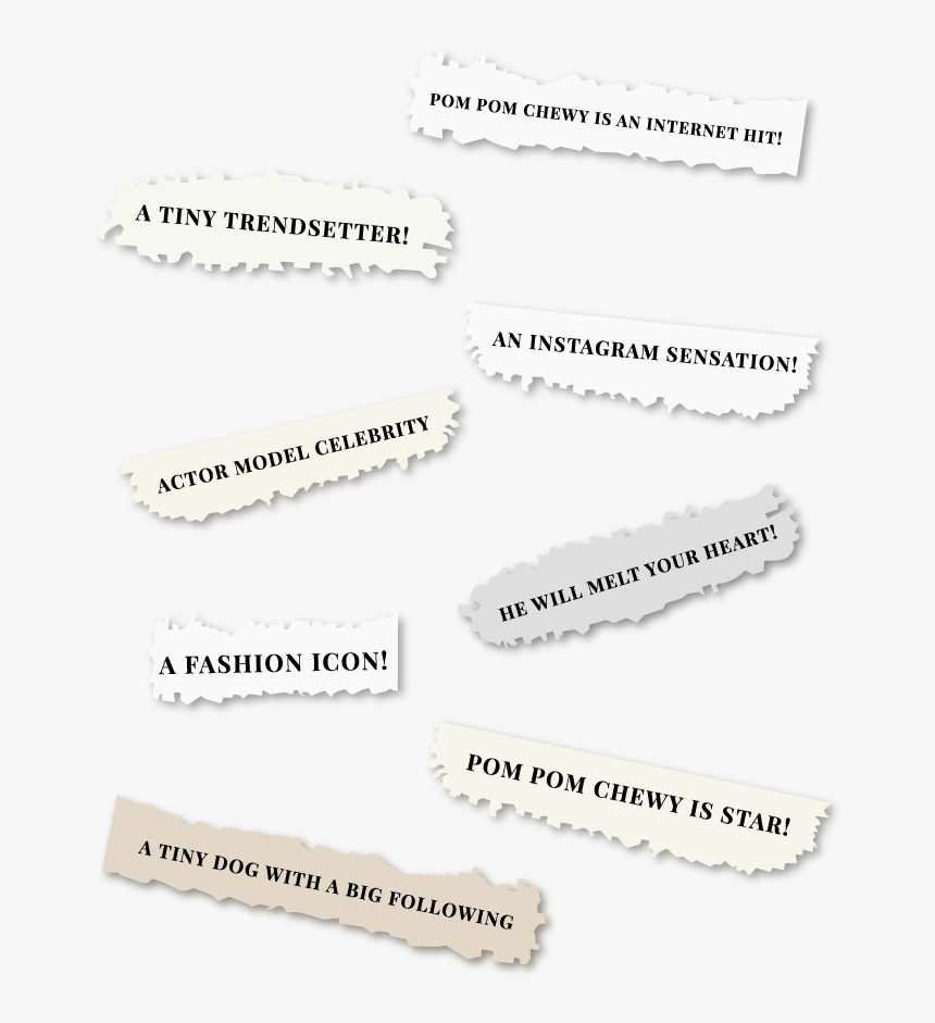 Media Headlines - Monochrome, HD Png Download