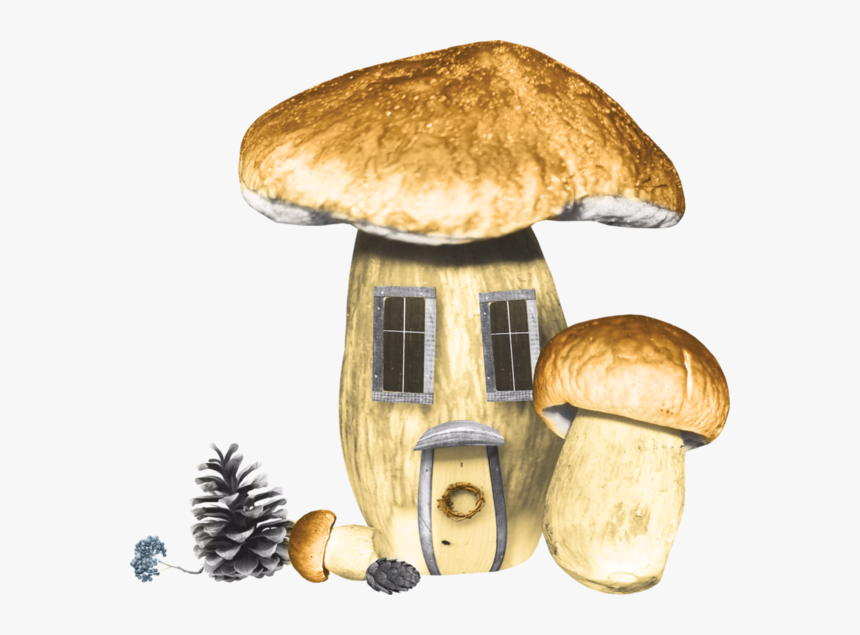 Pleurotus Eryngii, HD Png Download