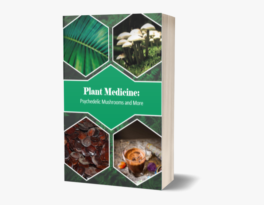 Plant Medicine Houston, Plant Medicine Texas, Plant - Chocolate Bar, HD Png Download