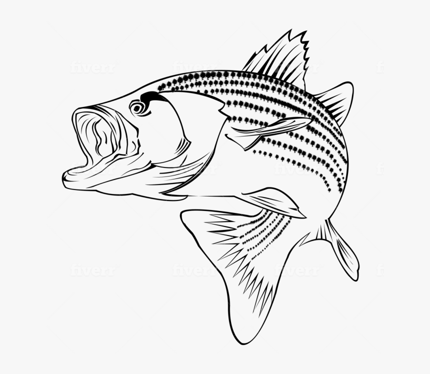 Coral Reef Fish, HD Png Download