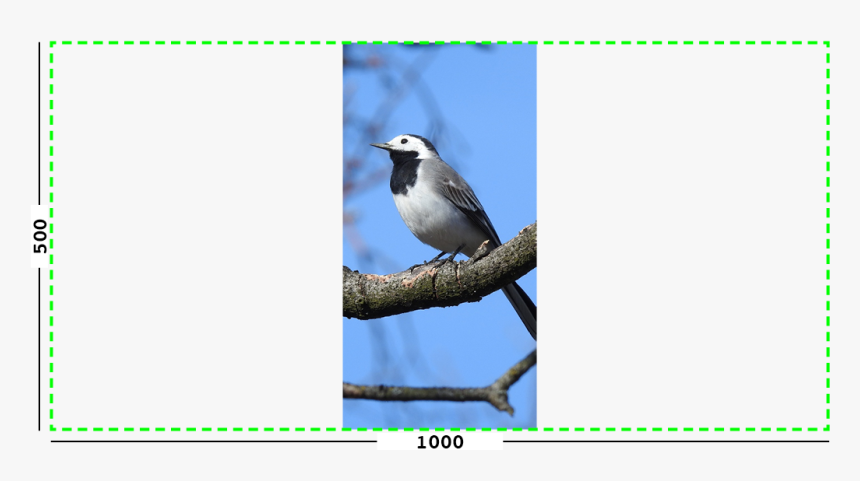 Example Of Max Filter On An Image - Old World Flycatcher, HD Png Download