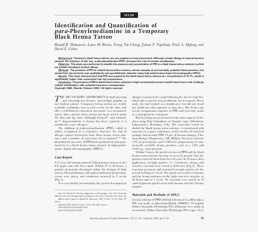 Document, HD Png Download