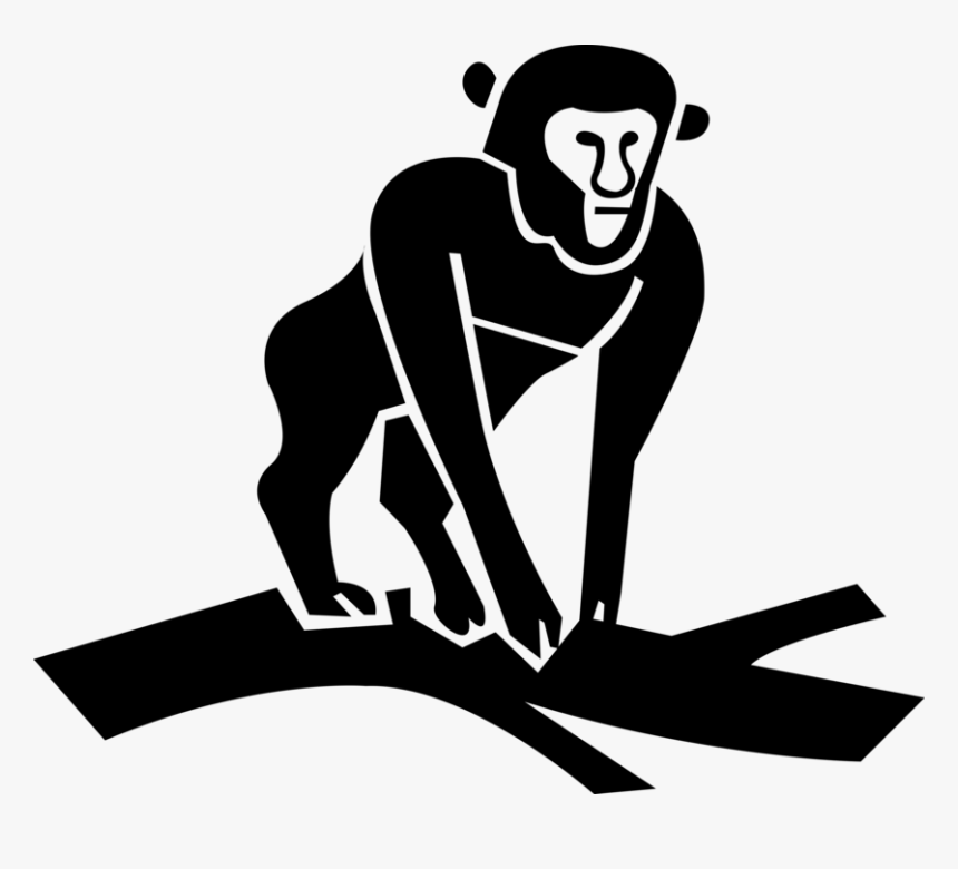 Vector Illustration Of Primate Monkey Ape On Tree Branch, HD Png Download