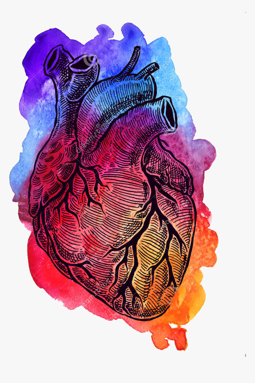 Corazn En Un Fondo De La Acuarela 59700486 - Acuarela Corazón Humano Dibujo, HD Png Download