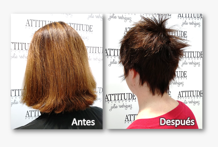 Lace Wig, HD Png Download