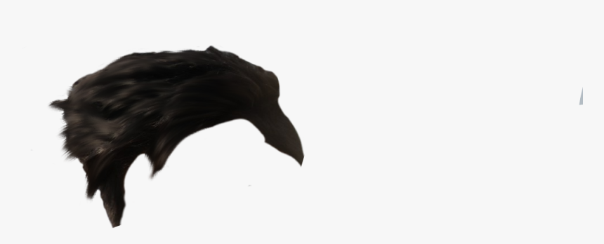 Bat, HD Png Download