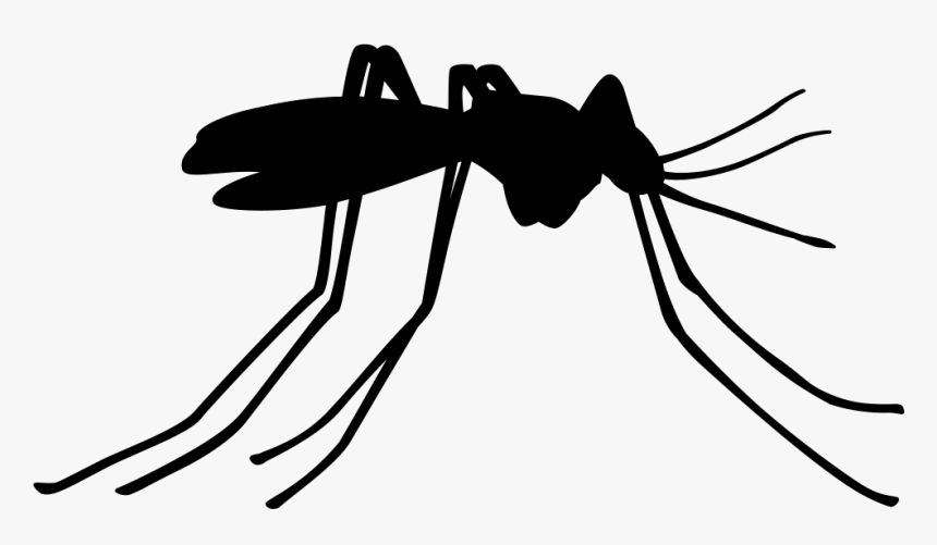 Mosquito Insect Side View - Transparent Background Mosquito Icon, HD Png Download
