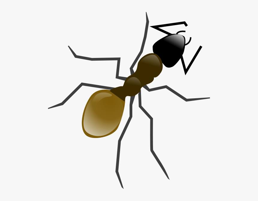 Ant Clip Art, HD Png Download