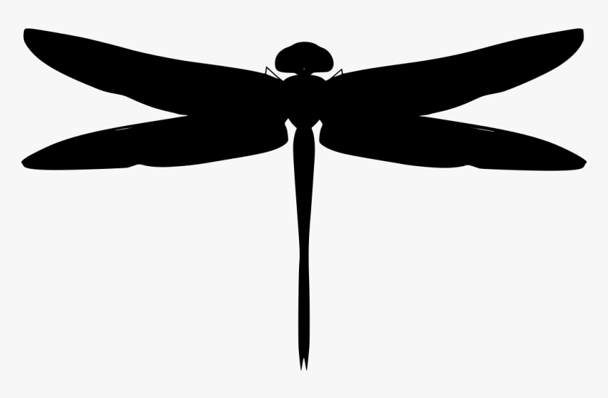 Illustration, HD Png Download