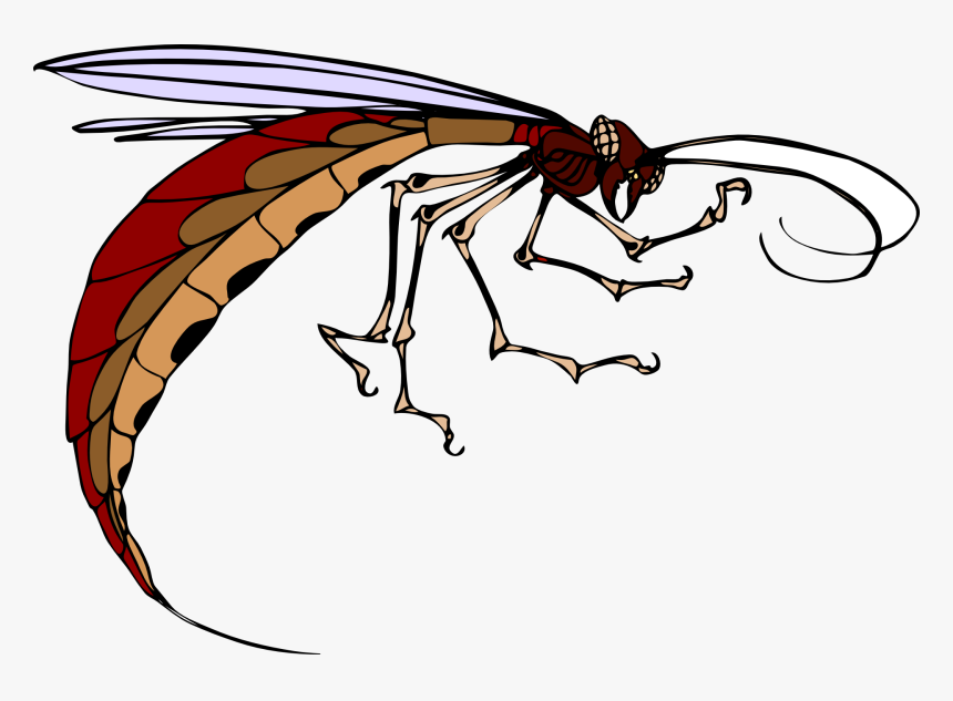 Insect Clip Art, HD Png Download