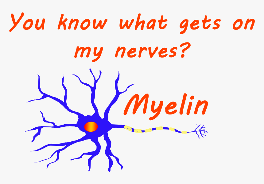 Graphic Design, HD Png Download