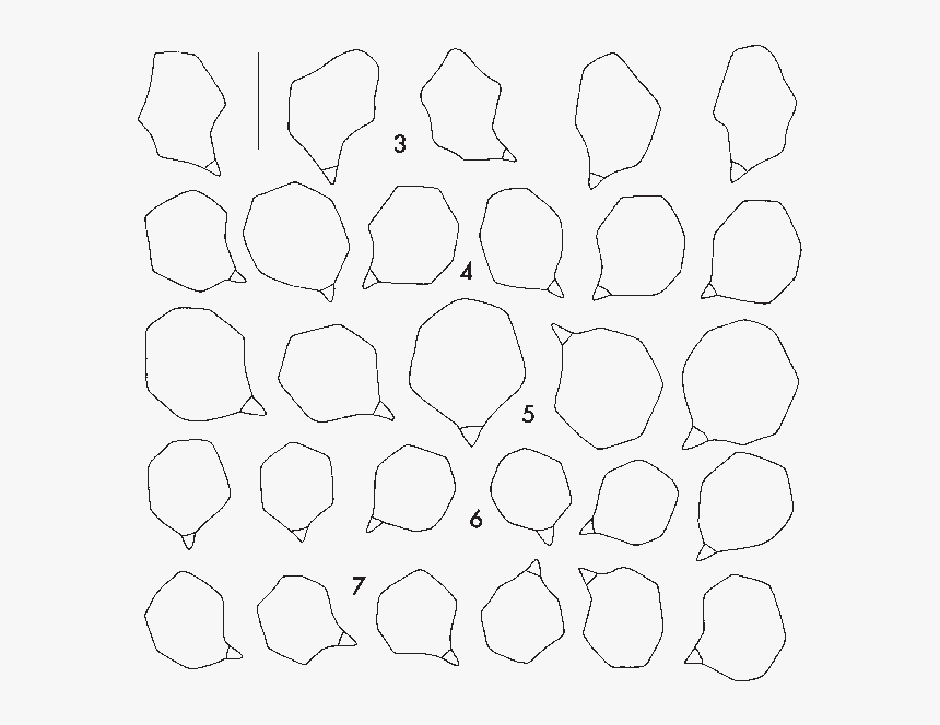 Line Art, HD Png Download