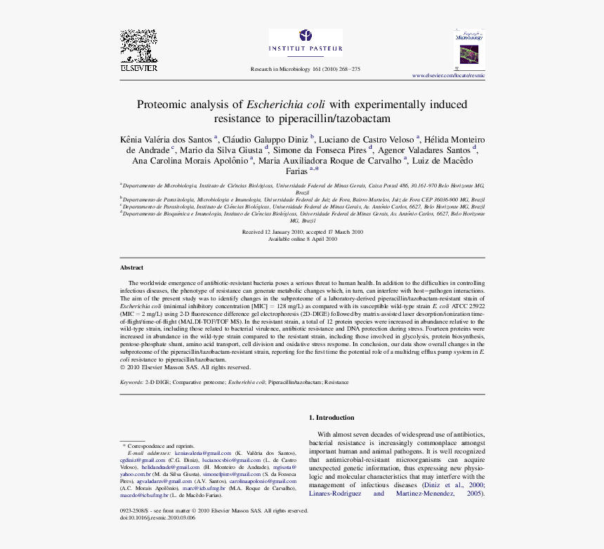 Folio Eleven From Burchard Of Sion's De Locis Ac Mirabilibus, HD Png Download