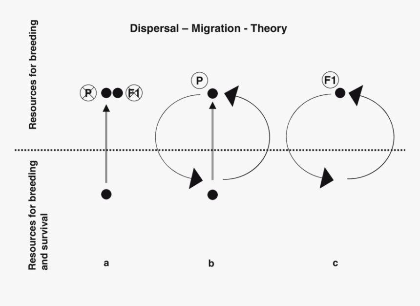 Circle, HD Png Download